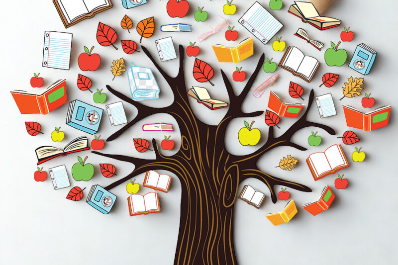 The Value of Education – Opinion.